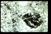ap1402_11_10