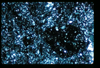 ap1402_11_11
