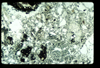 ap1402_11_14