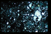 ap1402_11_15