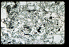 ap1402_11_18