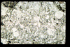 ap1402_12_01