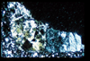 ap1402_12_06