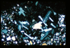 ap1402_12_14