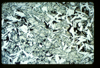 ap1402_12_15