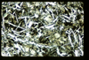 ap1402_12_17