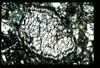 ap1402_13_01