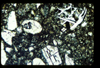 ap1402_13_07