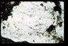 ap1402_13_09