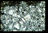 ap1402_13_14