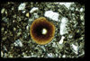 ap1402_13_16