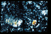 ap1402_13_18
