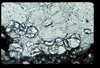 ap1402_14_01