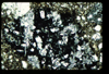 ap1402_14_03
