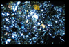 ap1402_14_09