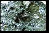 ap1402_14_10