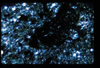ap1402_14_11