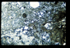 ap1402_15_03