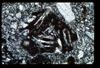 ap1402_15_15