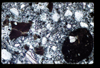 ap1402_15_18