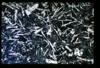ap1402_16_09