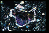 ap1402_17_02
