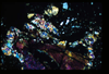 ap1402_17_03