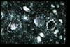ap1402_17_14