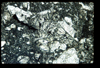 ap1403_01_01
