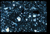 ap1403_01_10