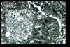 ap1403_01_12