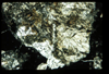 ap1403_01_16