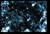 ap1403_02_01