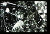 ap1403_02_02