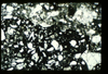 ap1403_02_03