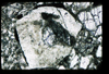 ap1403_02_05