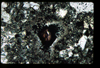 ap1403_03_01