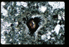 ap1403_03_02