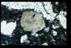 ap1403_03_03