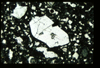 ap1403_03_05