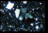 ap1403_03_06