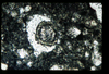 ap1403_03_07
