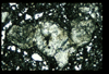 ap1403_03_08