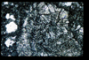 ap1403_03_10