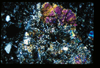 ap1403_03_11