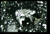 ap1403_03_12