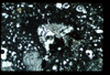 ap1403_03_13