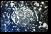 ap1403_03_16