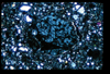 ap1403_03_17