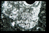 ap1403_03_18